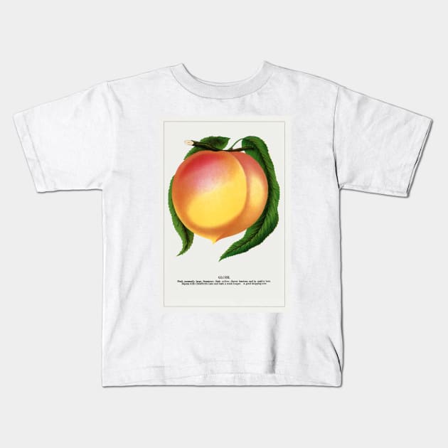 Globe Peach Lithograph (1900) Kids T-Shirt by WAITE-SMITH VINTAGE ART